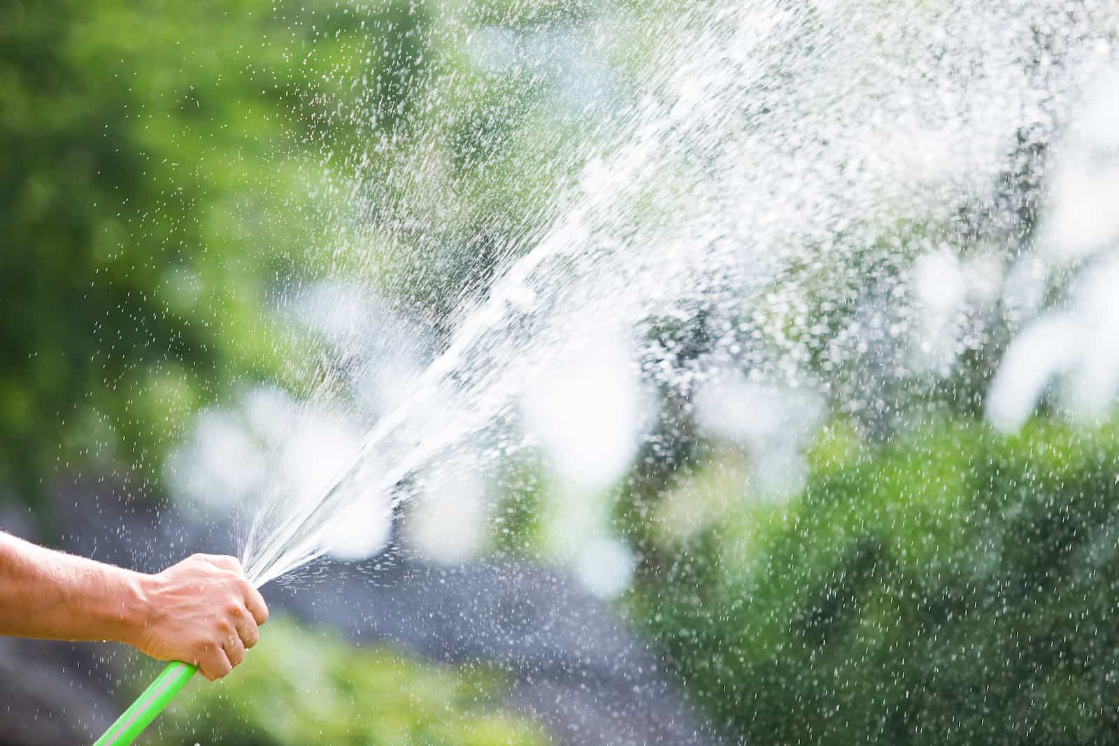 person using a water hose